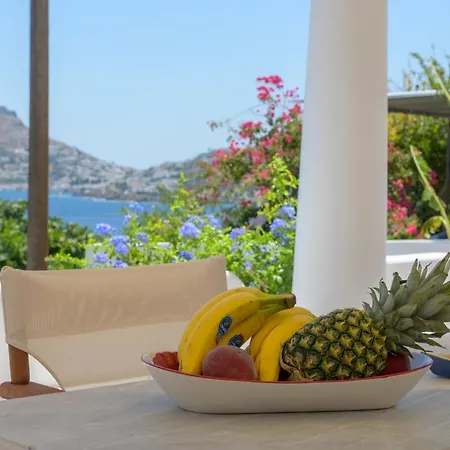 Holiday home Althea Alinda (Leros)